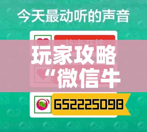 玩家必备教程“金华房卡在哪买”详细房卡怎么购买教程 玩家必备教程“金华房卡在哪买”详细房卡怎么购买教程