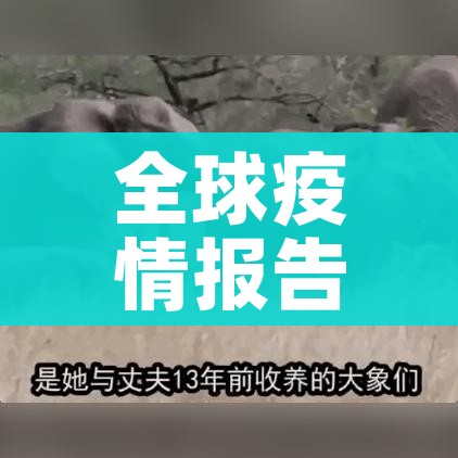 一分钟了解“微信牛牛房卡金花房卡”详细房卡教程 一分钟了解“微信牛牛房卡金花房卡”详细房卡教程