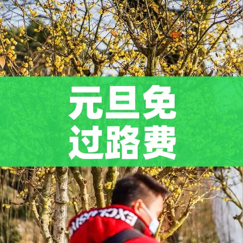 玩家必备教程“微信金花房间在哪购买”购买房卡介绍 玩家必备教程“微信金花房间在哪购买”购买房卡介绍