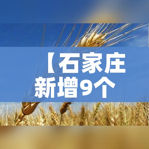 秒懂百科“微信金花去哪购买房卡”轻松获取房卡全渠道 秒懂百科“微信金花去哪购买房卡”轻松获取房卡全渠道