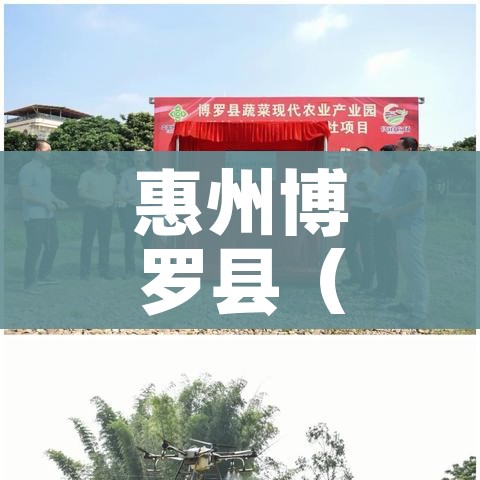 全攻略普及“微信链接大厅牛牛怎么挂”详细房卡教程