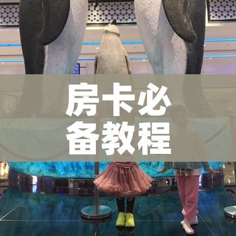 给大家讲解“微信链接牛牛房卡怎么弄”详细房卡怎么购买教程