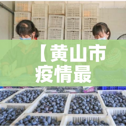 房卡必备教程“牛牛房卡怎么搞”房卡怎么购买