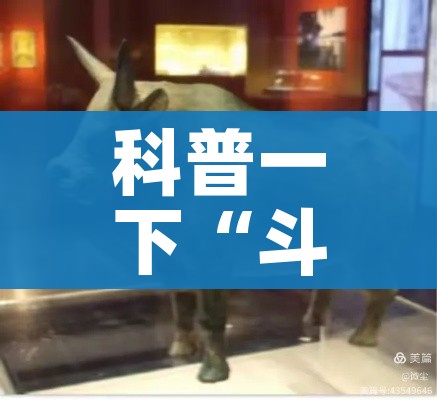 一分钟实测分享“如何购买炸 金花房卡”详细房卡怎么购买教程 一分钟实测分享“如何购买炸 金花房卡”详细房卡怎么购买教程