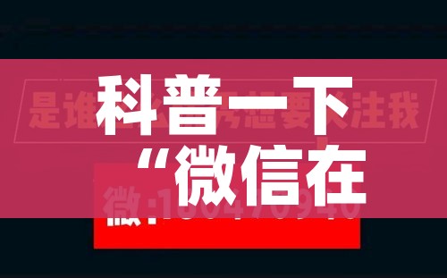 一分钟实测分享“微信群炸 金花房卡充值购买”获取房卡教程-哔哩哔哩