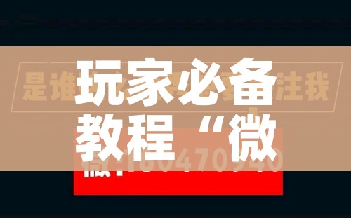 一分钟实测分享“微信群炸 金花房卡充值购买”获取房卡教程-哔哩哔哩 一分钟实测分享“微信群炸 金花房卡充值购买”获取房卡教程-哔哩哔哩