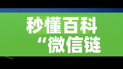 分享实测“微信链接金花房间卡哪里买”房卡使用教程 分享实测“微信链接金花房间卡哪里买”房卡使用教程