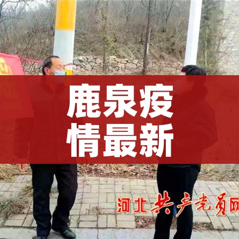 房卡必备教程“微信斗牛房卡购买渠道”获取房卡教程-哔哩哔哩 房卡必备教程“微信斗牛房卡购买渠道”获取房卡教程-哔哩哔哩