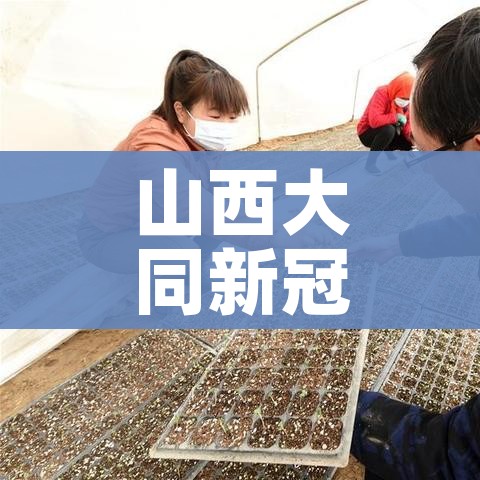 玩家必备教程“微信怎么开斗牛房间链接”房卡使用教程 玩家必备教程“微信怎么开斗牛房间链接”房卡使用教程