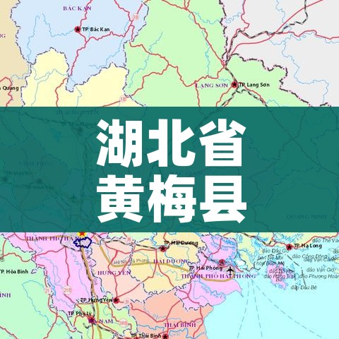 给大家讲解“天蝎大厅金花房卡”详细房卡怎么购买教程 给大家讲解“天蝎大厅金花房卡”详细房卡怎么购买教程