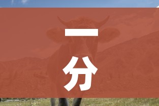秒懂百科“金花牛牛房卡出售”房卡链接获取 秒懂百科“金花牛牛房卡出售”房卡链接获取