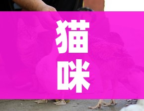 玩家攻略“微信群金花链接房卡怎么弄”详细房卡教程 玩家攻略“微信群金花链接房卡怎么弄”详细房卡教程
