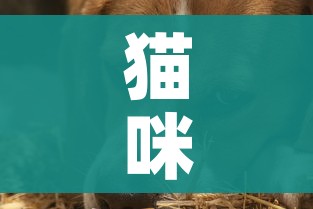 一分钟介绍使用“微信链接金花房间卡哪里买”房卡链接获取 一分钟介绍使用“微信链接金花房间卡哪里买”房卡链接获取