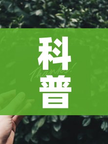 一分钟实测分享“炸 金花链接房卡代理”详细房卡教程 一分钟实测分享“炸 金花链接房卡代理”详细房卡教程