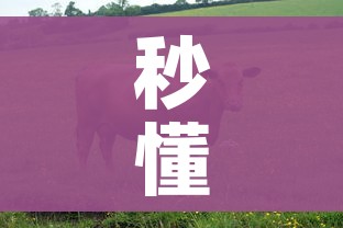 全攻略普及“在哪里买炸 金花房卡便宜点”房卡链接获取 全攻略普及“在哪里买炸 金花房卡便宜点”房卡链接获取