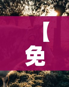 一分钟实测分享“微信斗牛怎么创建房间?”详细房卡怎么购买教程 一分钟实测分享“微信斗牛怎么创建房间?”详细房卡怎么购买教程