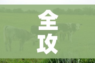 玩家必备教程“微信牛牛怎么创建房间”房卡使用教程 玩家必备教程“微信牛牛怎么创建房间”房卡使用教程