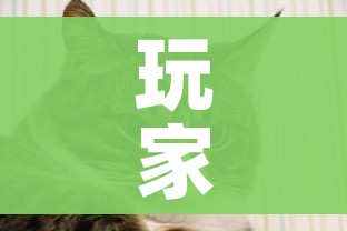 玩家必备教程“斗牛房卡牛牛房卡”详细房卡使用教程