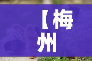 秒懂百科“牛牛卡房链接”详细房卡使用教程 秒懂百科“牛牛卡房链接”详细房卡使用教程