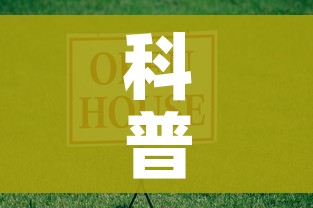 科普一下“微信牛牛房卡游戏代理”购买房卡介绍