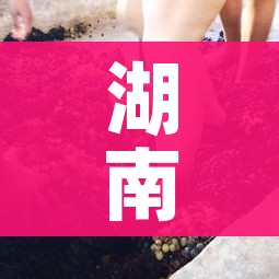 一分钟介绍使用“微信怎么开斗牛房间链接”房卡详细充值 一分钟介绍使用“微信怎么开斗牛房间链接”房卡详细充值