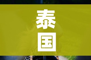 一分钟介绍使用“新大圣牛牛金花房卡”房卡怎么购买
