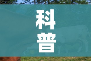 科普一下“牛牛炸 金花房卡”详细房卡使用教程