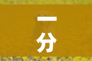 房卡全攻略“新皇豪牛牛金花房卡”房卡获取方式 房卡全攻略“新皇豪牛牛金花房卡”房卡获取方式