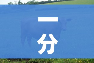 一分钟了解“微信牛牛群房卡”链接房卡在哪里获取 一分钟了解“微信牛牛群房卡”链接房卡在哪里获取