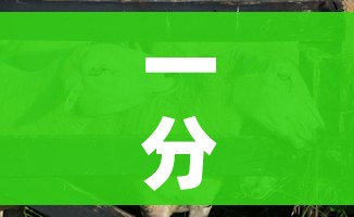 科普一下“在哪里能买炸 金花房卡”详细房卡教程 科普一下“在哪里能买炸 金花房卡”详细房卡教程