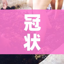 一分钟了解“美猴王房卡在那买”房卡使用教程 一分钟了解“美猴王房卡在那买”房卡使用教程