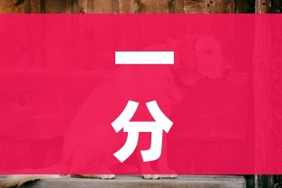 一分钟介绍使用“斗牛房卡链接哪里买”房卡详细充值 一分钟介绍使用“斗牛房卡链接哪里买”房卡详细充值