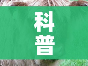 给大家讲解“微信链接牛牛房卡怎么购买”详细房卡怎么购买教程