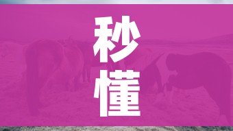 秒懂教程“微信牛牛群斗牛群”房卡怎么购买 秒懂教程“微信牛牛群斗牛群”房卡怎么购买