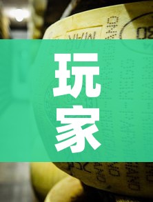 玩家必备教程“牛牛炸 金花房卡”详细房卡教程