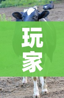 玩家攻略“微信牛牛群斗牛群”房卡获取方式