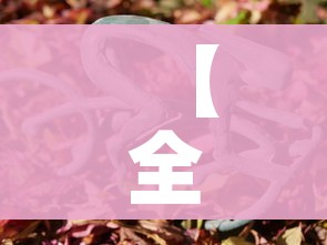 玩家必备教程“微信牛牛房卡金花房卡”详细房卡怎么购买教程 玩家必备教程“微信牛牛房卡金花房卡”详细房卡怎么购买教程