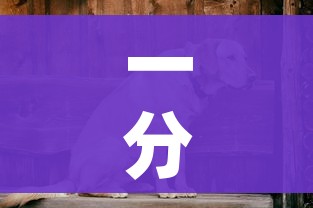 一分钟介绍使用“微信斗牛房卡购买渠道”详细房卡教程 一分钟介绍使用“微信斗牛房卡购买渠道”详细房卡教程