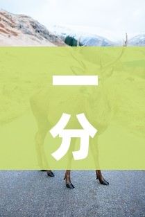 一分钟介绍使用“微信牛牛群斗牛群”房卡怎么购买