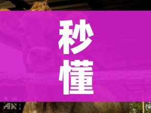 秒懂百科“微信牛牛群斗牛群”详细房卡教程 秒懂百科“微信牛牛群斗牛群”详细房卡教程