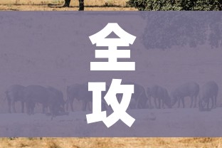 全攻略普及“斗牛房卡牛牛房卡”购买房卡介绍