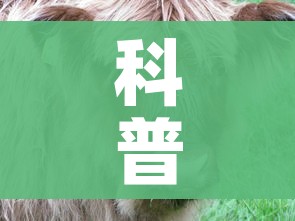 科普一下“微信牛牛群斗牛群”详细房卡教程