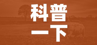 科普一下“微信牛牛群斗牛群”详细房卡教程