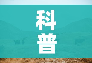 科普一下“微信牛牛群斗牛群”房卡获取方式 科普一下“微信牛牛群斗牛群”房卡获取方式